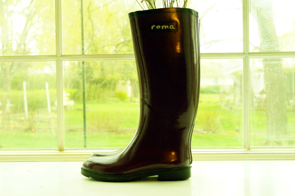 Mint Product Review: Roma All Weather Rain Boots Review