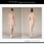 Mint Giveaway: Champagne and Strawberry Dress